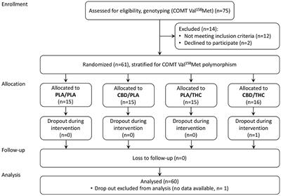 Effects of Cannabidiol and Delta-9-Tetrahydrocannabinol on Emotion, Cognition, and Attention: A Double-Blind, Placebo-Controlled, Randomized Experimental Trial in Healthy Volunteers